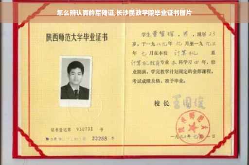 怎么辨认真的军残证,长沙民政学院毕业证书图片