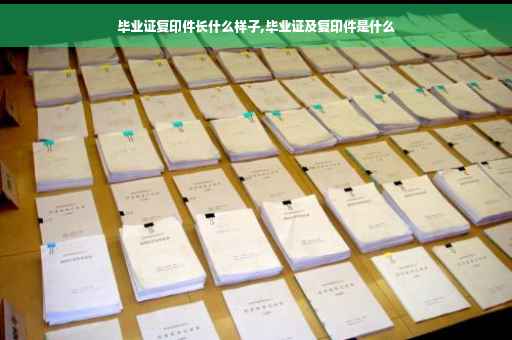 毕业证复印件长什么样子,毕业证及复印件是什么