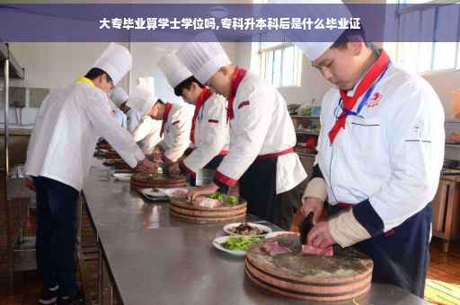 大专毕业算学士学位吗,专科升本科后是什么毕业证