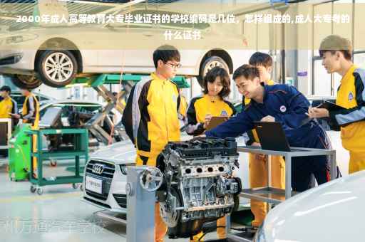 2000年成人高等教育大专毕业证书的学校编码是几位，怎样组成的,成人大专考的什么证书