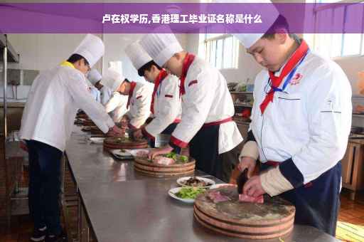 卢在权学历,香港理工毕业证名称是什么