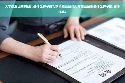 大学毕业证书的图片是什么样子的?,本科毕业证和大专毕业证都是什么样子的,给个样本?