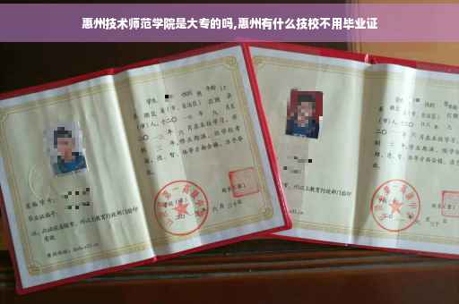 惠州技术师范学院是大专的吗,惠州有什么技校不用毕业证