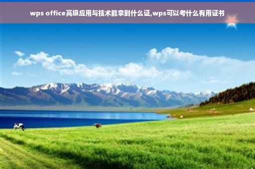 wps office高级应用与技术能拿到什么证,wps可以考什么有用证书