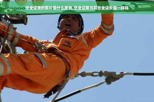 毕业证用的照片是什么底色,毕业证明书和毕业证长得一样吗