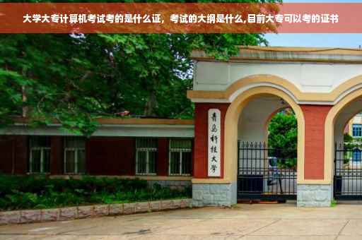 大学大专计算机考试考的是什么证，考试的大纲是什么,目前大专可以考的证书