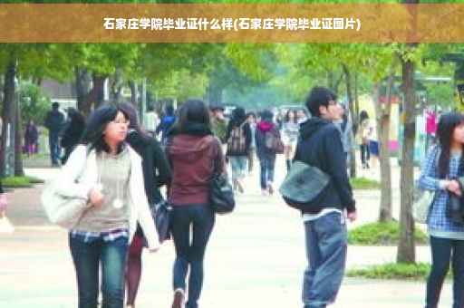 石家庄学院毕业证什么样(石家庄学院毕业证图片)