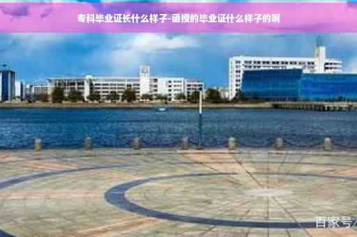 专科毕业证长什么样子-函授的毕业证什么样子的啊