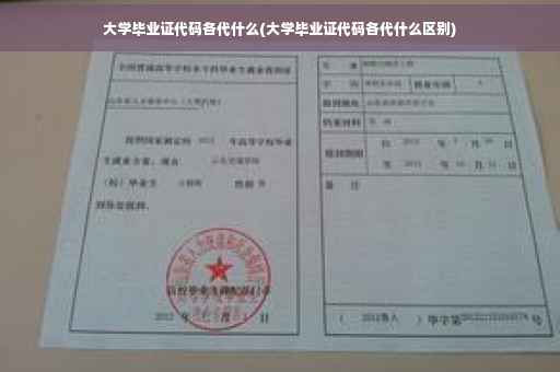 大学毕业证代码各代什么(大学毕业证代码各代什么区别)