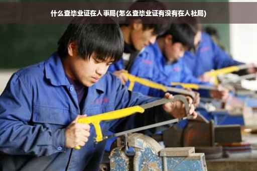什么查毕业证在人事局(怎么查毕业证有没有在人社局)
