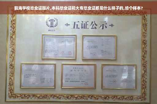 前海学校毕业证图片,本科毕业证和大专毕业证都是什么样子的,给个样本?
