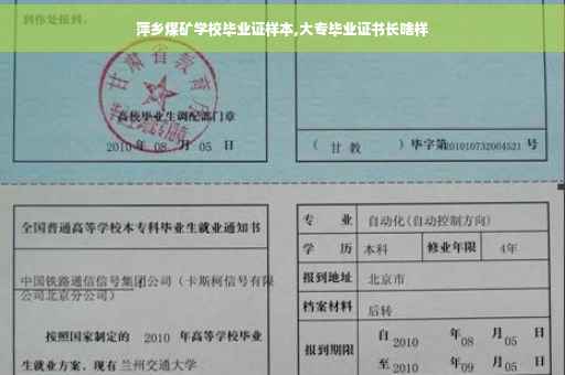 萍乡煤矿学校毕业证样本,大专毕业证书长啥样
