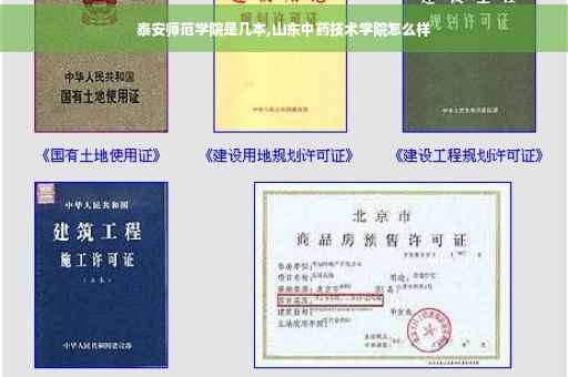 泰安师范学院是几本,山东中药技术学院怎么样
