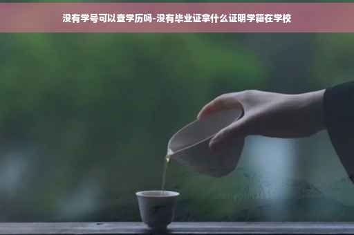 没有学号可以查学历吗-没有毕业证拿什么证明学籍在学校