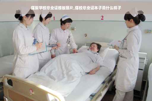 煤炭学校毕业证模板图片,煤校毕业证本子是什么样子