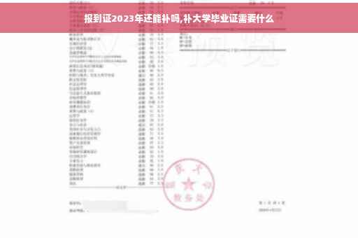 报到证2023年还能补吗,补大学毕业证需要什么