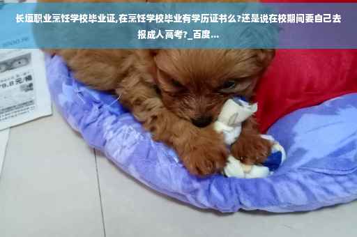 长垣职业烹饪学校毕业证,在烹饪学校毕业有学历证书么?还是说在校期间要自己去报成人高考?_百度...