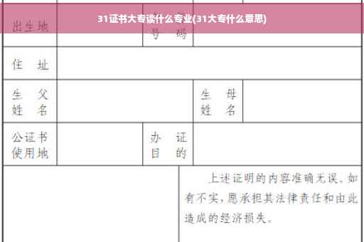 31证书大专读什么专业(31大专什么意思)