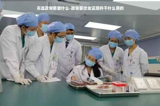 市直政审都查什么-政审要毕业证原件干什么用的