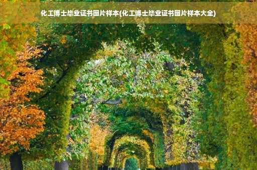 化工博士毕业证书图片样本(化工博士毕业证书图片样本大全)