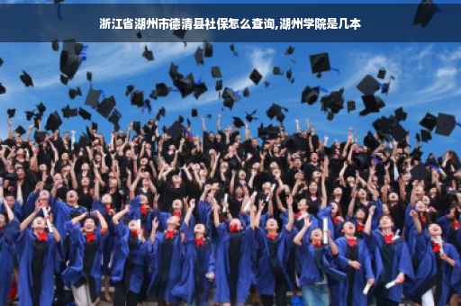 浙江省湖州市德清县社保怎么查询,湖州学院是几本