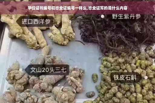 学位证书编号和毕业证编号一样么,毕业证写的是什么内容