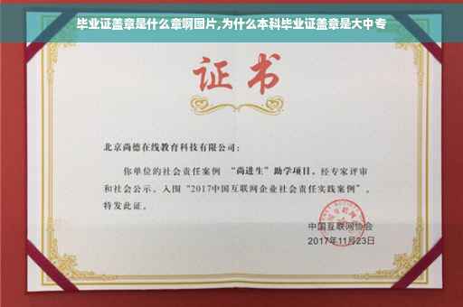 毕业证盖章是什么章啊图片,为什么本科毕业证盖章是大中专
