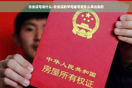 毕业证号是什么-毕业证的学号编号是怎么弄出来的