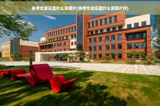 自考毕业证盖什么章图片(自考毕业证盖什么章图片好)