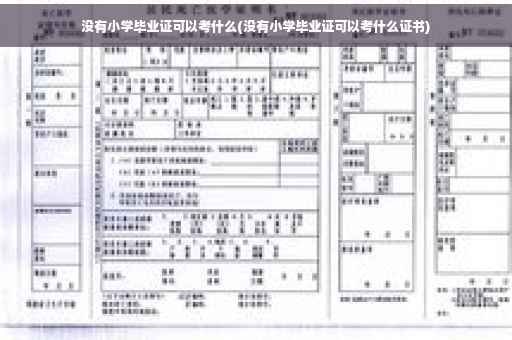 没有小学毕业证可以考什么(没有小学毕业证可以考什么证书)