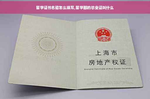 留学证书名称怎么填写,留学那的毕业证叫什么