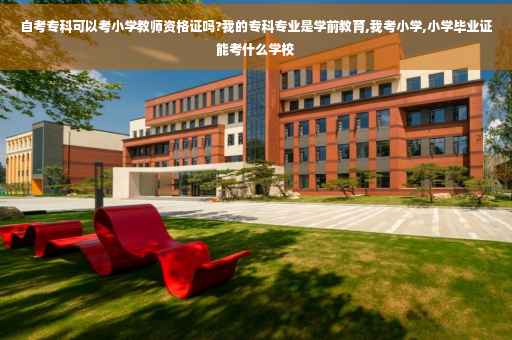 自考专科可以考小学教师资格证吗?我的专科专业是学前教育,我考小学,小学毕业证能考什么学校