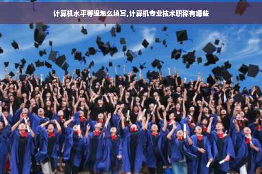 计算机水平等级怎么填写,计算机专业技术职称有哪些
