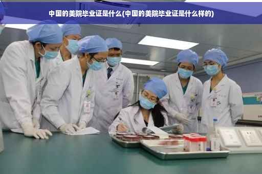 中国的美院毕业证是什么(中国的美院毕业证是什么样的)