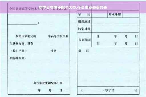空中乘务属于哪个大类,什么专业是乘务长