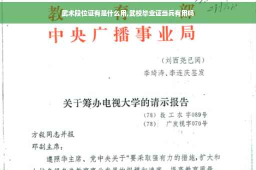 武术段位证有是什么用,武校毕业证当兵有用吗