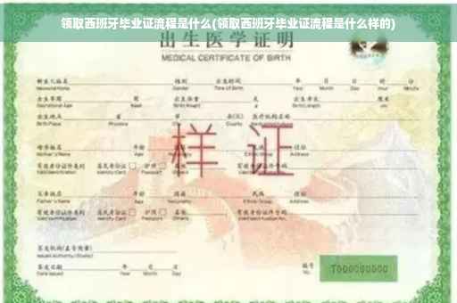 领取西班牙毕业证流程是什么(领取西班牙毕业证流程是什么样的)