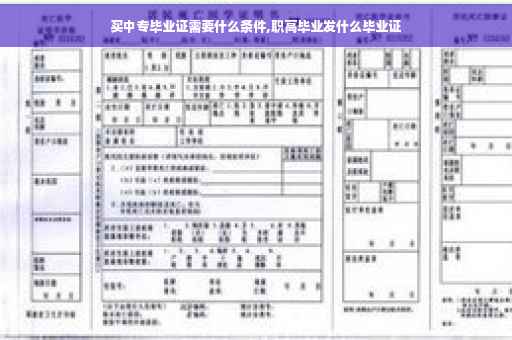 买中专毕业证需要什么条件,职高毕业发什么毕业证