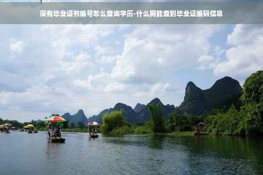 没有毕业证书编号怎么查询学历-什么网能查到毕业证编码信息
