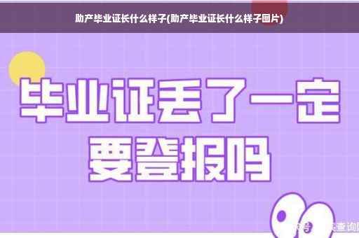 助产毕业证长什么样子(助产毕业证长什么样子图片)