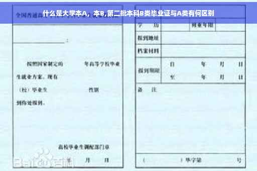 什么是大学本A，本B,第二批本科B类毕业证与A类有何区别