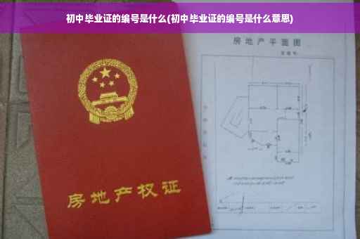 初中毕业证的编号是什么(初中毕业证的编号是什么意思)