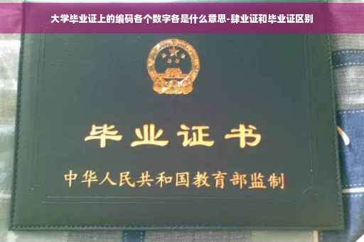 大学毕业证上的编码各个数字各是什么意思-肆业证和毕业证区别
