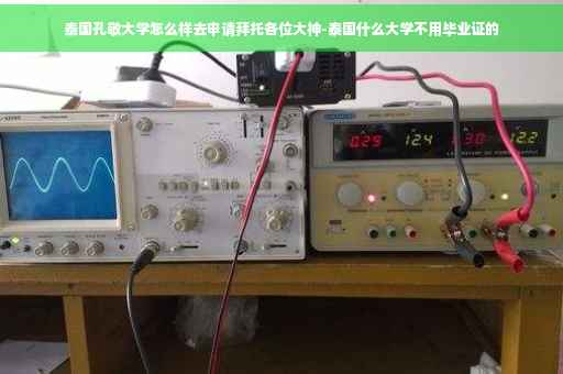 泰国孔敬大学怎么样去申请拜托各位大神-泰国什么大学不用毕业证的