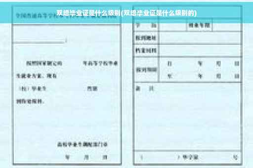 双培毕业证是什么级别(双培毕业证是什么级别的)