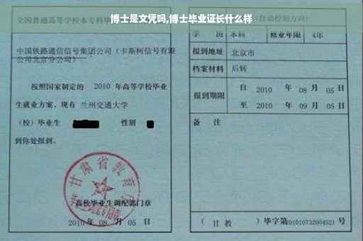 博士是文凭吗,博士毕业证长什么样
