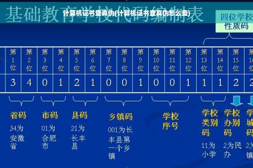 计算机证书查真伪(计算机证书查真伪怎么查)