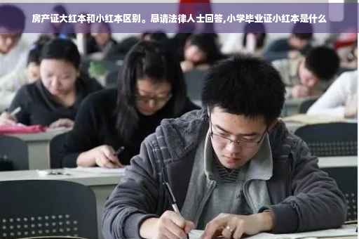 房产证大红本和小红本区别。恳请法律人士回答,小学毕业证小红本是什么