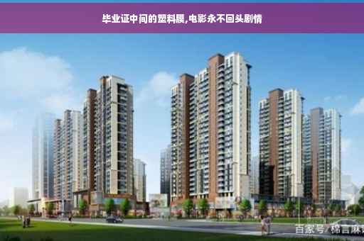 毕业证中间的塑料膜,电影永不回头剧情