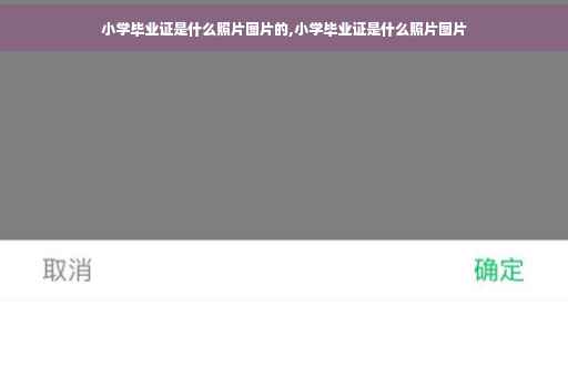 小学毕业证是什么照片图片的,小学毕业证是什么照片图片